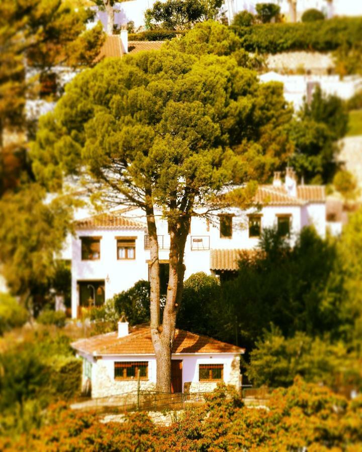 Olmedilla Holiday home
