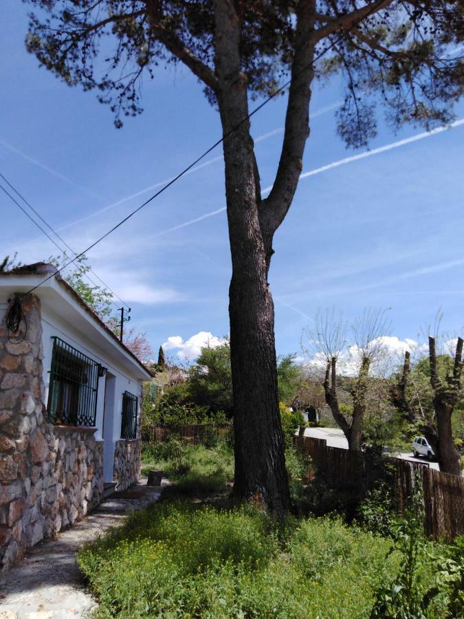 Olmedilla Olmeda de las Fuentes